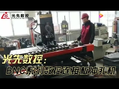 Máquina de perforación de placas original